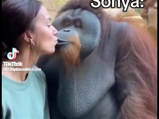 哈哈哈我笑累了危险女王和Affair鬼船[LMSY]