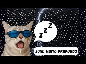 Assista pra dormir | 1h de Gato Ronronando ASMR | Dormir e Relaxar