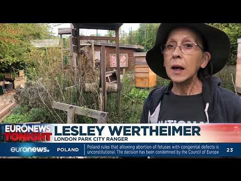 Greening the grey: London to turn 50% of its urban environment green by 2050