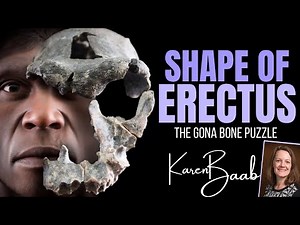 SHAPE OF ERECTUS - The Gona Bone Puzzle ~ with DR KAREN BAAB