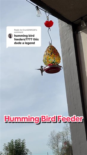 Replying to @CrunkDMG28 Ultimate Innovations Pinecone Hummingbird Feeder! #hummingbird #hummingbirdfeeder #hummingbirds #hummingbirdsoftiktok #birdfeeder