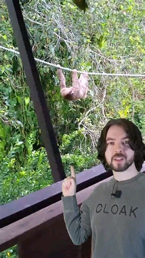 Our Sloth Crossings canopy bridges connect fragmented sloth habitats in urbanized areas like this property rental. We have installed over 230 of these so far! You can sponsor your bridge in the South Caribbean of Costa Rica or help sloths in other ways on our website! | The Sloth Conservation Foundation