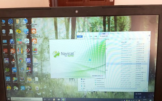 appserv小白装机/数据库配置