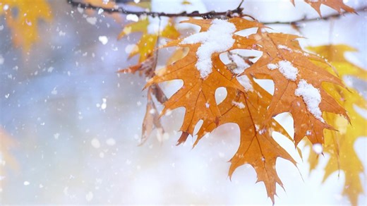 Will Colorado have a snowy winter? Here's what the Almanac says