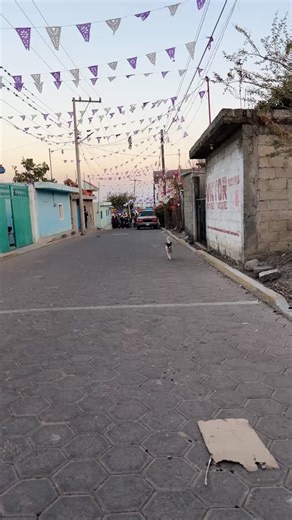 Digital Imagen. on Reels