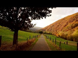 Folk Eu - Iubito, vine Toamna (versuri Adrian Paunescu)