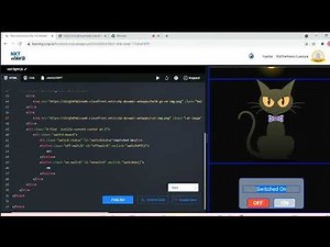 First Dynamic Website - CAT BULB | CCBP 4.0 | NXTWAVE