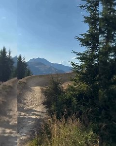 220 reactions |  Full throttle, no brakes. Every corner, every jump,...