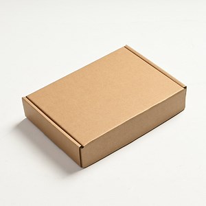 [Hot Item] Multi-Purpose Collapsible Digital Packaging Box for Unique Items
