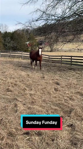 A Cozy Sunday Funday with Chrome and Friends