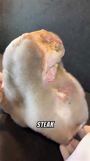Moldy Steak… Or Perfectly Aged?