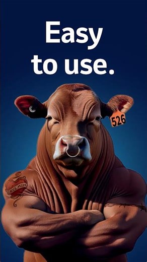 High quality, high retention l Allflex Cattle Tags l Retention