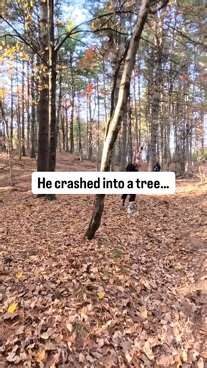 10K views · 49 reactions | Who put that tree there?廊⬇️ Watch @kdxrida take on the woods now on YouTube▶️ | Aj Catanzaro | Facebook
