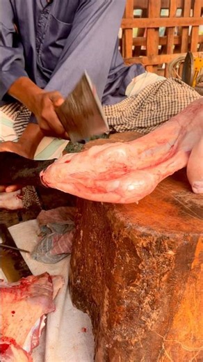 Meat cutting processing scale.