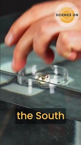 Interesting Magnetic Property of Bismuth