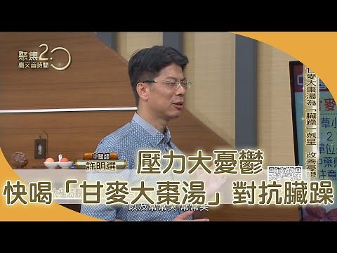 壓力大憂鬱 快喝「甘麥大棗湯」對抗臟躁【聚焦2.0】360集