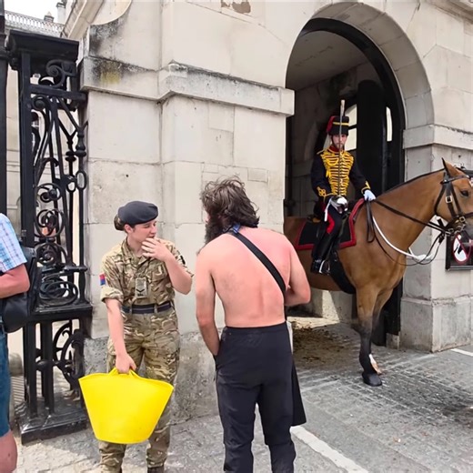 6.8K views · 127 reactions | Weird Man Stops Lady Soldier While Staring at Horse and Guard!  #weird #kingsguard #horsevideo #trendingpost #everyone #london | Kings And Guards | Facebook