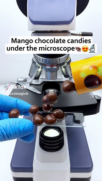 Up Close and Personal: Mango Chocolate Candy Under a Microscope