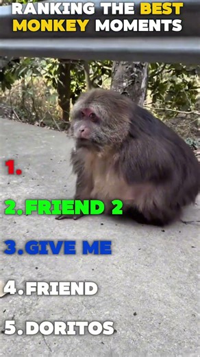 Ranking best monkey core