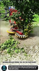 Advanced Orchard Pruning Tool for Tree Maintenance #tools