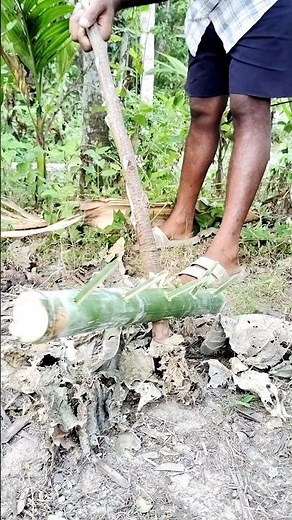 Cutting Bamboo the Traditional Way | Village Life Skill