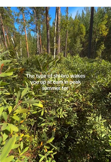 Counting Down to Summer Fun with Friends