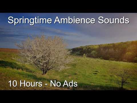 10 Hours Spring Ambience | Birds Singing, Nature Sounds, Peaceful Atmosphere