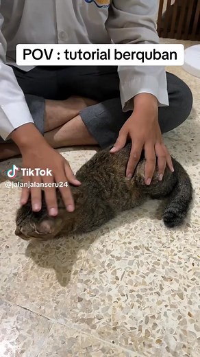 Sefruit tutorial source tertera | Rama Aryadi