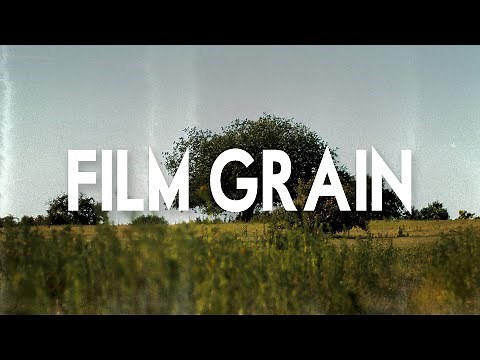 Real Film Grain Overlay (for Free)