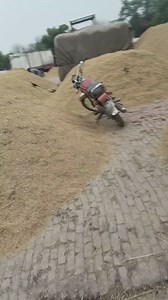 Rice Library Pakistan on Reels