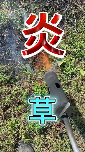 灯油バーナーで草を焼き払う #農業 #雑草 #バーナー