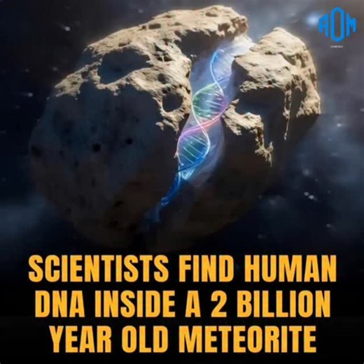 🧬 “A 2 Billion-Year-Old Mystery — Did Human DNA Come From Space?” Scientists around the world have recently discovered evidence in a 2-billion-year-old meteorite that has shaken the foundations of science. Hidden within this rock was a structure resembling human DNA, matching no known sample ever found on Earth. Does this mean that the origin of humanity is not Earth, but space? Was our existence part of a cosmic experiment that began billions of years ago? If this proves true — it would be the