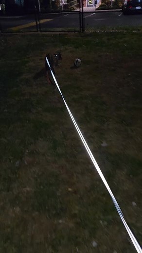 Jeffrey Leibowitz on Reels