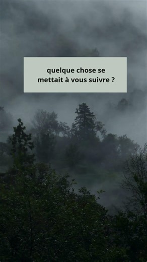 Strange shadows in the heart of the forest... #frenchaudiobook #horrorstory