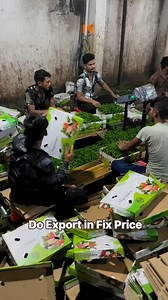 Exporting Green Chillies, Fresh Fruits, and Vegetables During Monsoon SeasonWhen exporting fresh fruits and vegetables during the monsoon season, it's crucial to select high-quality products and use strong packaging to prevent spoilage. Proper packaging is essential to ensure the products arrive in good condition despite the weather.For profitable exports, always use fixed pricing instead of commission-based pricing. This way, the risk of the goods is transferred to the buyer once the products a