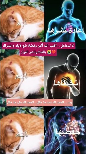 لا تتجاهل ضع #لايك فضلاً👍#اشتراك#subscribe😭انشر#القرآن#fypシ#viral #fyp #شفا #مصر #quran #islam#faith