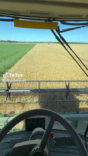 Straw Uses in Agriculture Explained