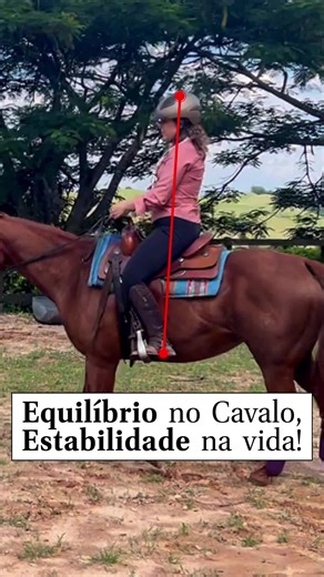 Montar a cavalo é muito mais do que apenas se manter sobre o animal – é um exercício constante de ajuste, resposta rápida e conexão entre corpo e mente. Essa prática não só melhora a postura e a coordenação, mas também fortalece o sistema de equilíbrio do corpo, algo essencial em todas as fases da vida. Cavalo como Aliado do Equilíbrio Um estudo recente com mulheres cavaleiras e não cavaleiras na Arábia Saudita revelou que as cavaleiras apresentam significativamente mais equilíbrio, tanto em mov