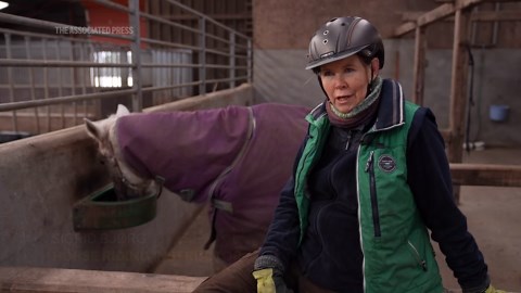 A horse whinny is unique in the animal kingdom
