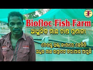 Biofloc fish farming in odisha ( ଆଧୁନିକ ମାଛ ଚାଷ ପ୍ରଣାଳୀ ) .