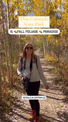 🍂This Colorado State Park is an Aspen Forest Paradise🤩 💚 Always follow Leave No Trace principles in the outdoors. Stay on trail, pack out what you bring in, and don’t carve into the aspens 🤘 📍Golden Gate Canyon State Park, near Golden, Colorado, is one of the prettiest places to hike in the fall, since almost every trail has aspen trees. 🍁This park is family and pet-friendly, with several hiking trails of various lengths and difficulty. 🎟️Entrance: $10 (or use your Colorado State Parks Pa