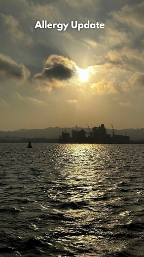 Allergy update🥲 Products: - Allergex tablets (drowsy one😅) - ⁠Sensibio H2O (Miscellar water) from @biodermasouthafrica - ⁠Red light device from www.amareskin.com (click link in my bio) #eczema #eczemaskincare #eczemacream #eczemalife | Shiv sewlal