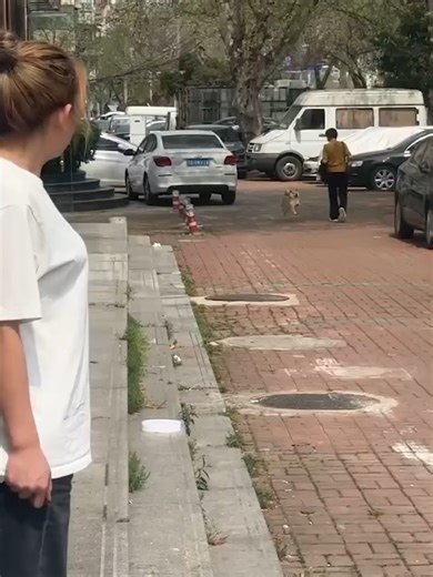 AQMZJAj8U6mi597hE1014KCTG7JbsdDJyLpMYlI3O9Roed3HXgz_nu6dD6In57jbkp4QgO0U4r4omziZJvexgMG5dICVNwyJHCjK24Ij036Bzw