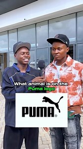 What animal is on the Puma Logo? 🤔 #fyp #virals #foryou #animals #logo | Soliu Olayinka Adam