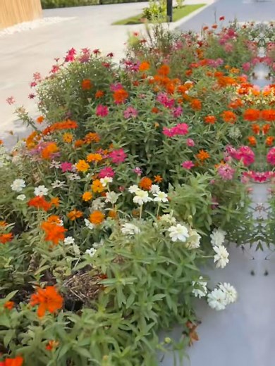 Love Nature ❤️ | Nature Lovers