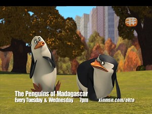 Penguins and Panda Combo