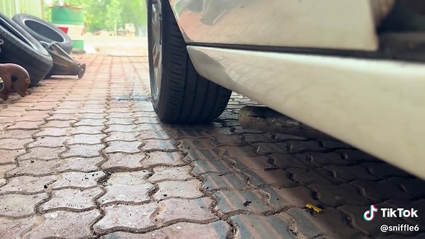 Nathan Dries (@sniffle6)’s videos with original sound - Nathan Dries