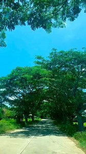 Bkit nga ba? | Benavente Adonis