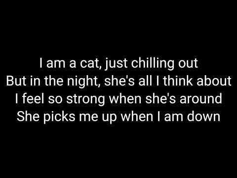 Miraculous LadyBug Theme Song V1 (lyrics)