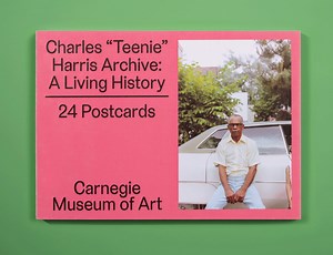 Carnegie Museum of Art on Reels